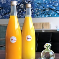 カラマンダリンジュース＆伊予柑ビタージュース2本セット（各1本）720ml