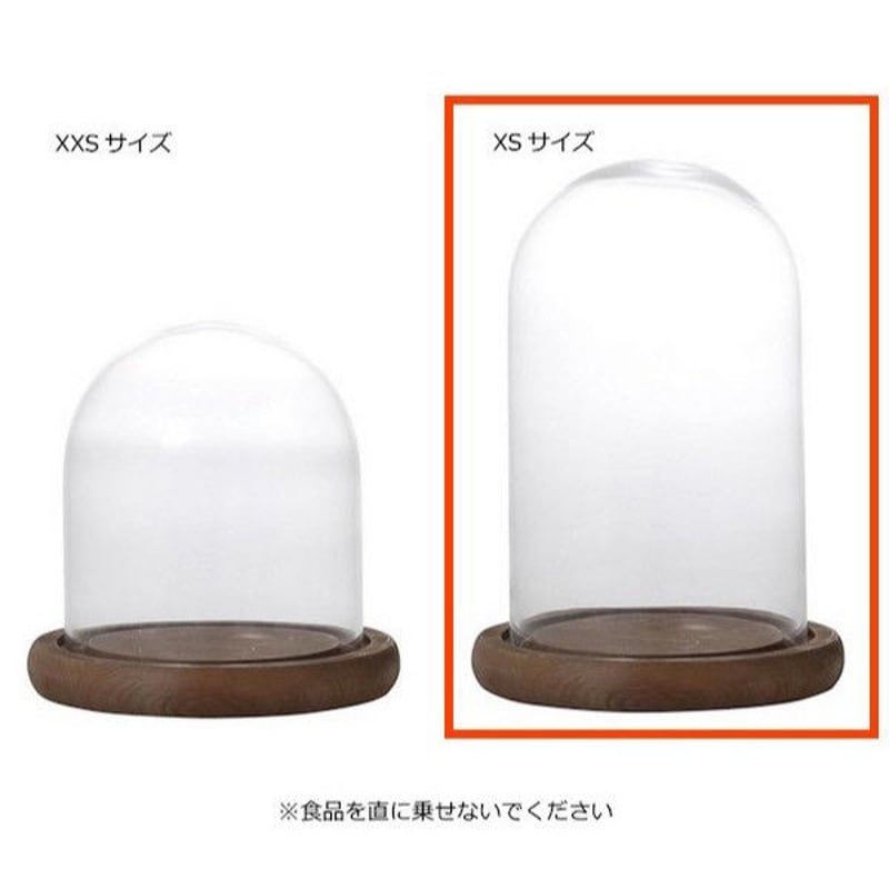 DULTON ダルトン GLASS DOME XSサイズ 発根管理 温室 コーデックス DULTON ダルトン GLASS DOME XSサイズ 発根管理 温室 コーデックス