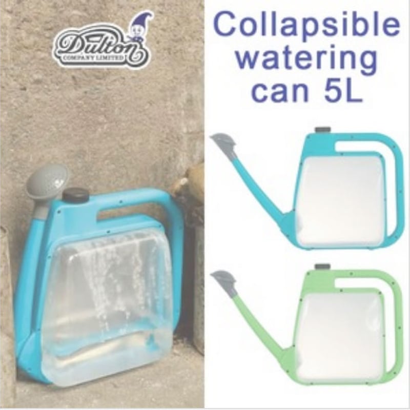 アガベ 、パキポディウム、デュオーン、16株セット アガベ