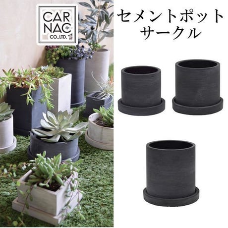 サボテン 高さ約100cm 黒色鉢 Amazon.co.jp: OUNONA 植物鉢 多肉鉢 サボテン鉢 おしゃれ 黒