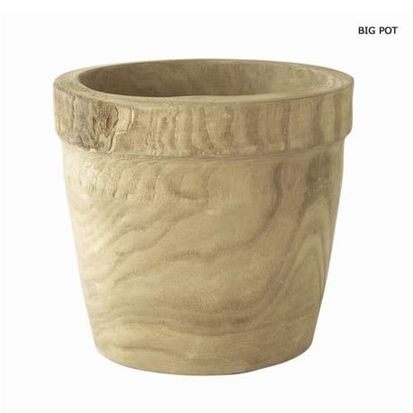 ことり ポット発送839⭐️Ashwood 【ASHWOODIENSIS】 新ロック・フェス