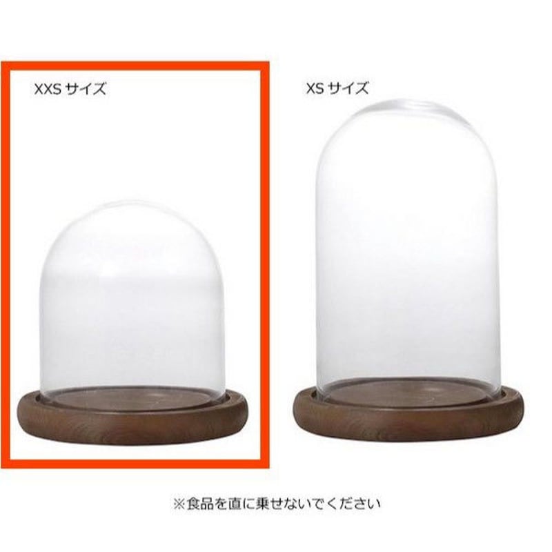DULTON ダルトン GLASS DOME XXSサイズ 発根管理 温室 コーデックス