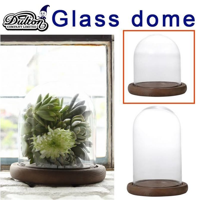 DULTON GLASS CLOCHE Mサイズ ダルトン ガラスクローシュ ダルトン ガラスクローシュ M ガラスドーム - メルカリ