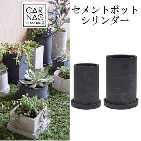 塊根植物 鉢植え 黒鉢 楽天市場】植木鉢 大型 プラ鉢 ブラックポット タフbowl 50 径