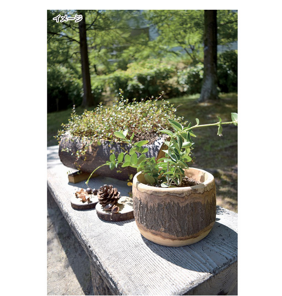 木製 神楽面 ナチュラルウッド 2025年最新】Yahoo!オークション -#神楽面の中古品・新品・未