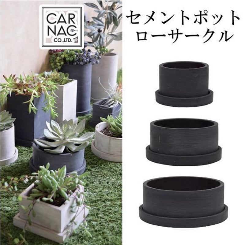新色ブラック セメントポットローサークルBK Mサイズ多肉植物