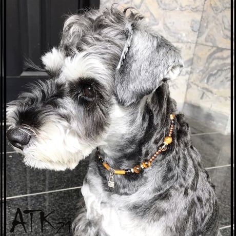 犬用ネックレス タイガーアイ スモキークウォーツ ドックアクセサリー  金運アップ ドックネックレス 愛犬 わんこアクセサリー 愛犬のためのネックレス お出かけ お散歩クッズ：DN190601