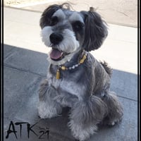 犬用ネックレス ドックアクセサリー ドックネックレス 愛犬 わんこアクセサリー イエロー パール フリンジチャーム 愛犬のためのネックレス お散歩クッズ：DN190502