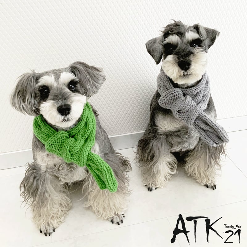 ハンドメイド 手作り 犬用マフラー 縄編みマフラー 愛犬 寒がりの