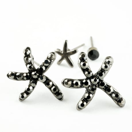 （4点セット）シースター スターフィッシュ ヒトデ キュービックジルコニア モチーフ スタッド ピアス メンズ レディース アクセサリー：PS160205