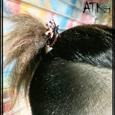 (5点セット)三つ編みゴム ヘアゴム ヘアポニー 髪留め ミサンガ メンズ レディース キッズ ヘアアクセサリー：HGS191106