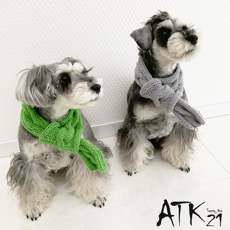 ハンドメイド 手作り 犬用マフラー 縄編みマフラー 愛犬 寒がりの