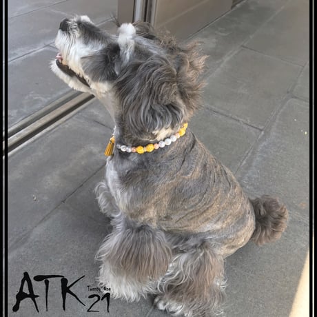 犬用ネックレス ドックアクセサリー ドックネックレス 愛犬 わんこアクセサリー イエロー パール フリンジチャーム 愛犬のためのネックレス お散歩クッズ：DN190502