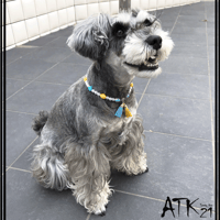犬用ネックレス ドックアクセサリー ドックネックレス 愛犬 わんこアクセサリー イエロー ターコイズ パール フリンジチャーム 愛犬のためのネックレス お散歩クッズ：DN190603