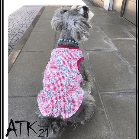 ギンガムチェック 透かしフラワー レース ペットドックウェア 愛犬 犬用服 犬用ウェア 涼しい 夏ウェアDog Ware お散歩グッズ：DW190501