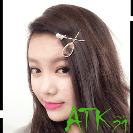 (3本セット) ハラコ オーバル レオパード ゼブラ パール ビジュー ストーン ヘアピンセット ヘアアクセサリー：HA160803