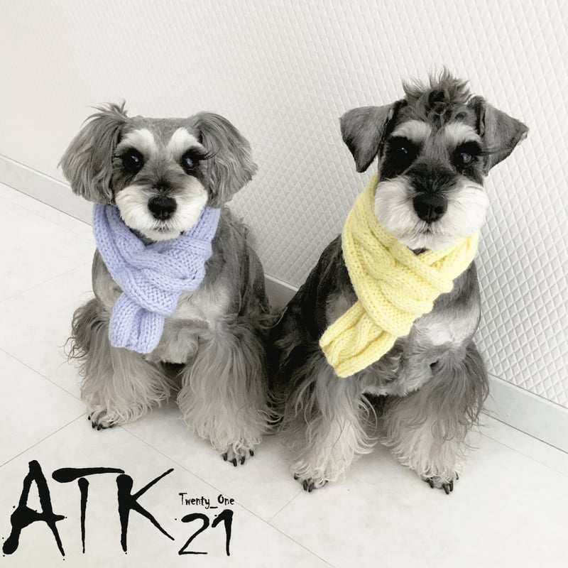 ハンドメイド 手作り 犬用マフラー 縄編みマフラー 愛犬 寒がりの