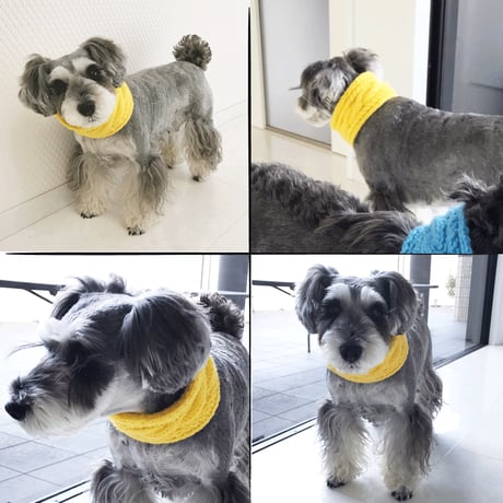 ハンドメイド 手作り ケーブル編み 犬用ネックウォーマー 縄編みマフラー 愛犬 寒がりのわんこに 冬の防寒アイテム お散歩グッズ：DM191201