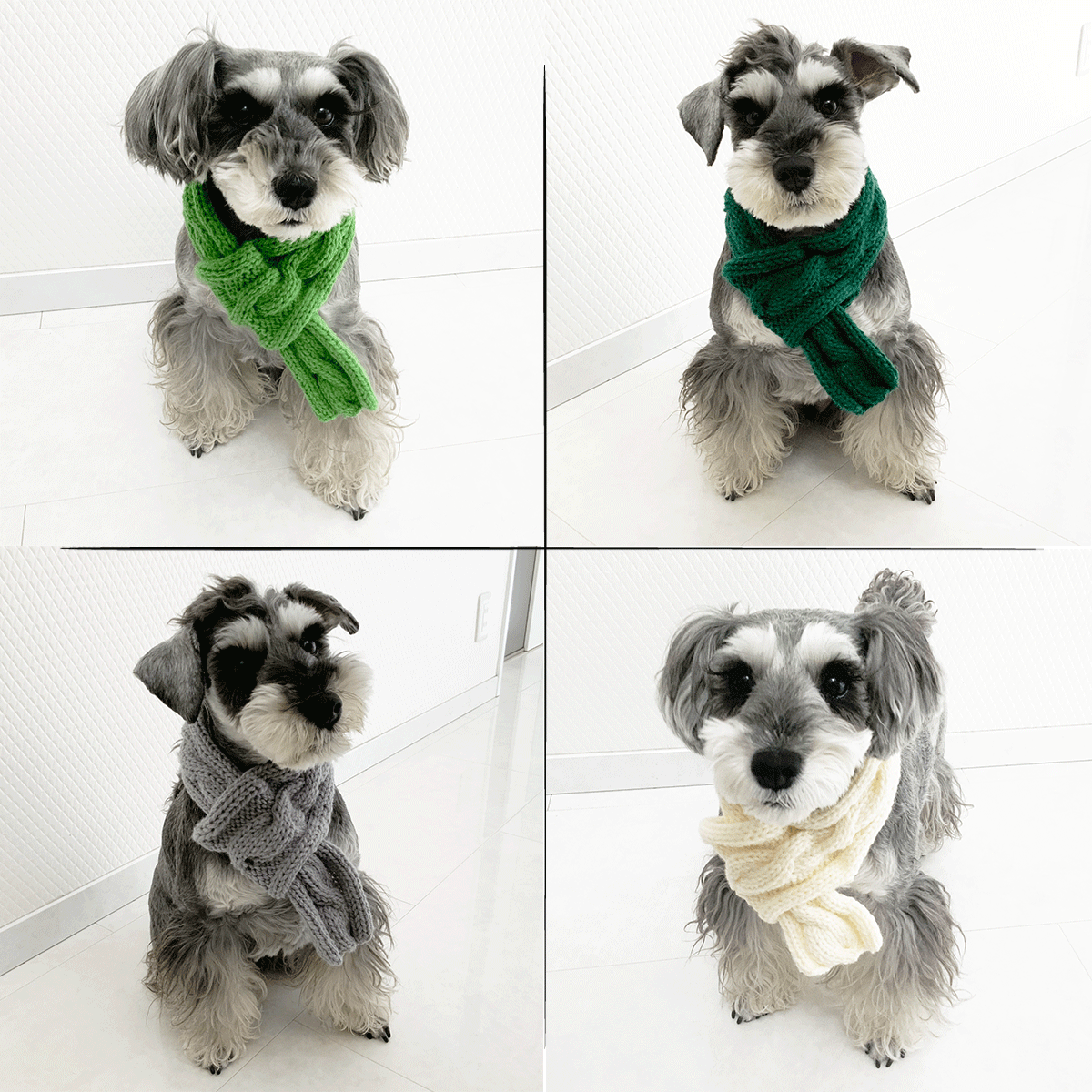 ハンドメイド 手作り 犬用マフラー 縄編みマフラー 愛犬 寒がりの