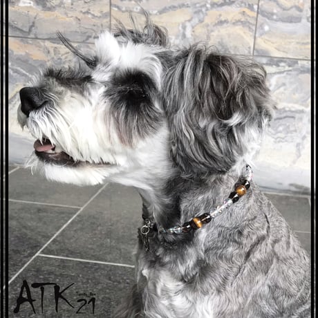 犬用ネックレス タイガーアイ スモキークウォーツ ドックアクセサリー  金運アップ ドックネックレス 愛犬 わんこアクセサリー 愛犬のためのネックレス お出かけ お散歩クッズ：DN190602
