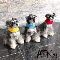 ハンドメイド 手作り ケーブル編み 犬用ネックウォーマー 縄編みマフラー 愛犬 寒がりのわんこに 冬の防寒アイテム お散歩グッズ：DM191201
