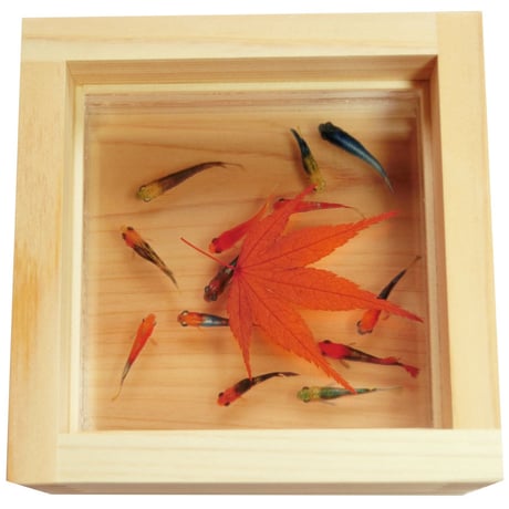 樹脂金魚 3D金魚 アート めだか 「輝/紅葉」 岐阜県 東濃ひのき 純日本製 金魚 桧 還暦祝い 誕生日 結婚祝い 男性 女性 置物 プレゼント メダカ プリザーブドフラワー もみじ 紅葉 モミジ