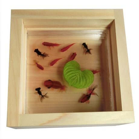 金魚アート 3D金魚 「楽」【プレゼント付き】【ラッピング無料】 プリザーブドフラワー 縁起物