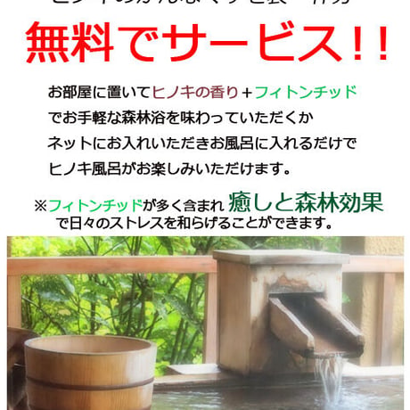 プレミアムアート 「結」 カクレクマノミ 3D金魚 アクリル樹脂 海 ニモ ドリー