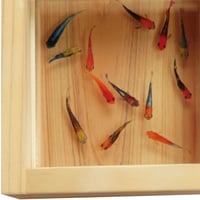 樹脂金魚 3D金魚 アート めだか 「輝」 岐阜県 東濃ひのき 純日本製 金魚 桧 還暦祝い 誕生日 結婚祝い 男性 女性 置物 インテリア プレゼント メダカ 生き物 赤 アート ペット