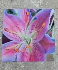 Labyrins Picture Bandana