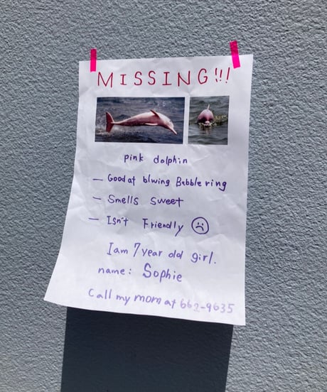 Labyrins MISSING Long sleeve T-shirt