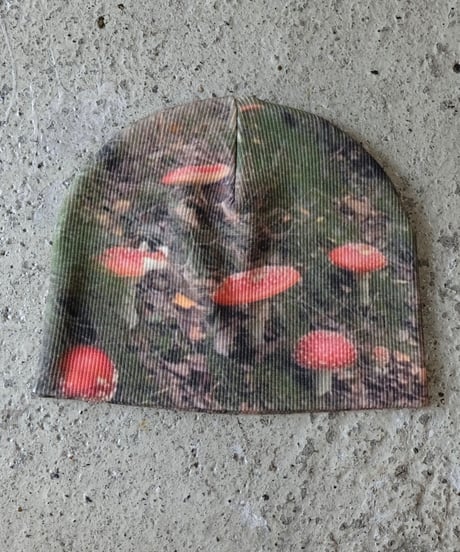 Labyrins   Picture Beanie 11