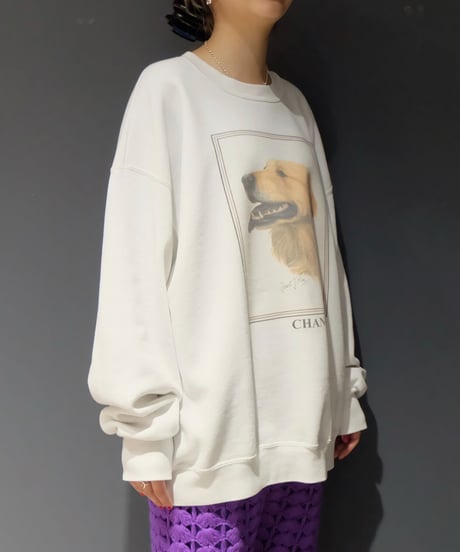 Vintage   Dog Sweat