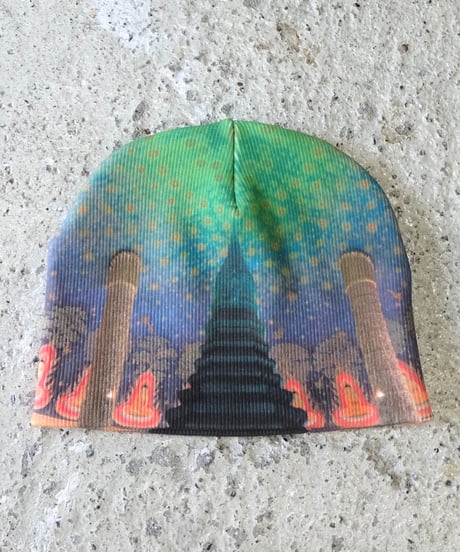 Labyrins Picture Beanie 2