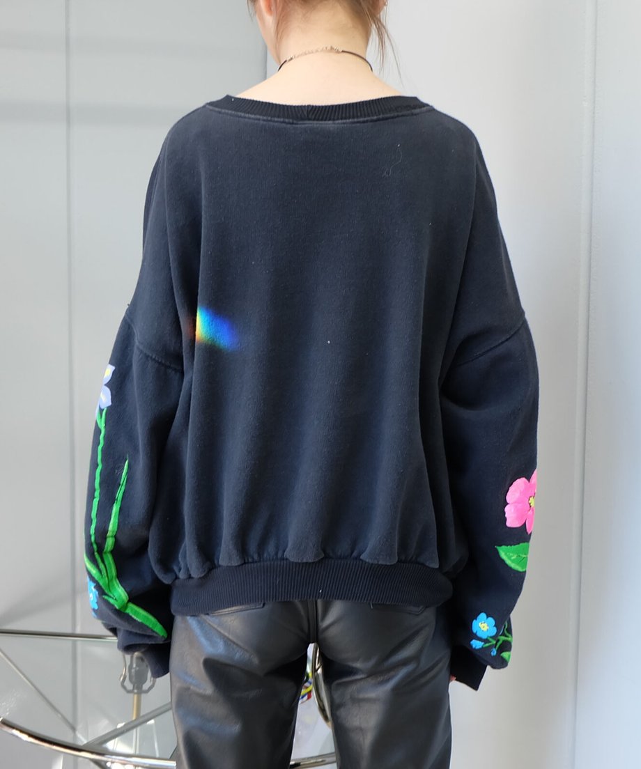 616e7cd20548e055520368a1