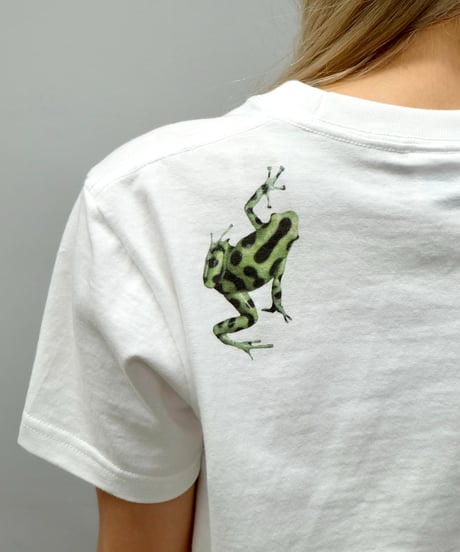 Labyrins   Groovy Frog Tshirt Green