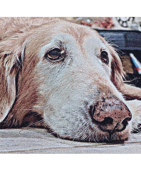 Vintage   Rug