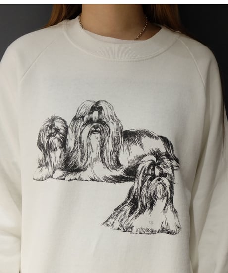 Vintage   Dog Sweat