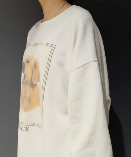 Vintage   Dog Sweat