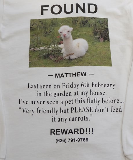Labyrins   FOUND Long sleeve T-shirt