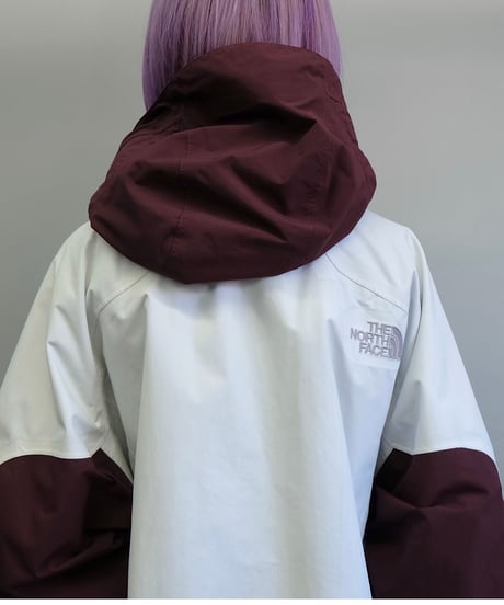 Vintage    The Northface Jacket