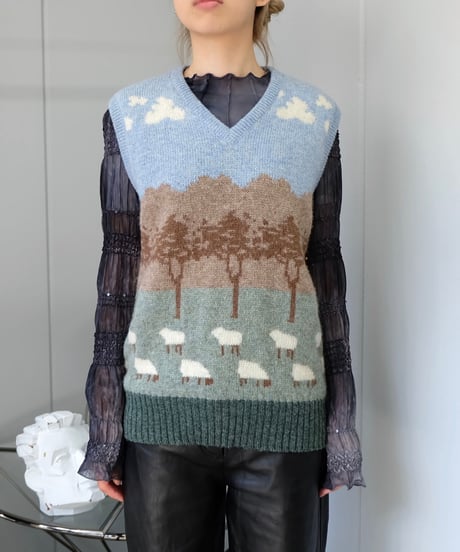 Vintage   Design Knit Vest