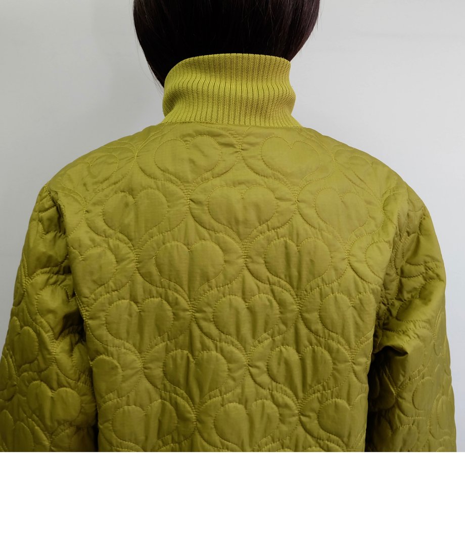 65a642ff1edc27003309c04b