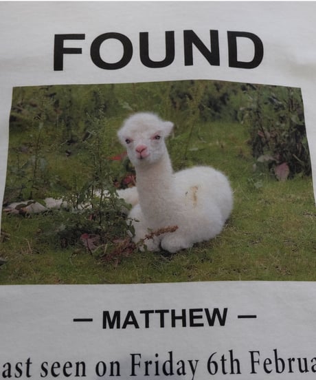 Labyrins   FOUND Long sleeve T-shirt