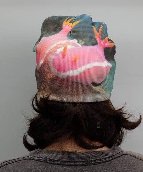 Labyrins Picture Beanie 1