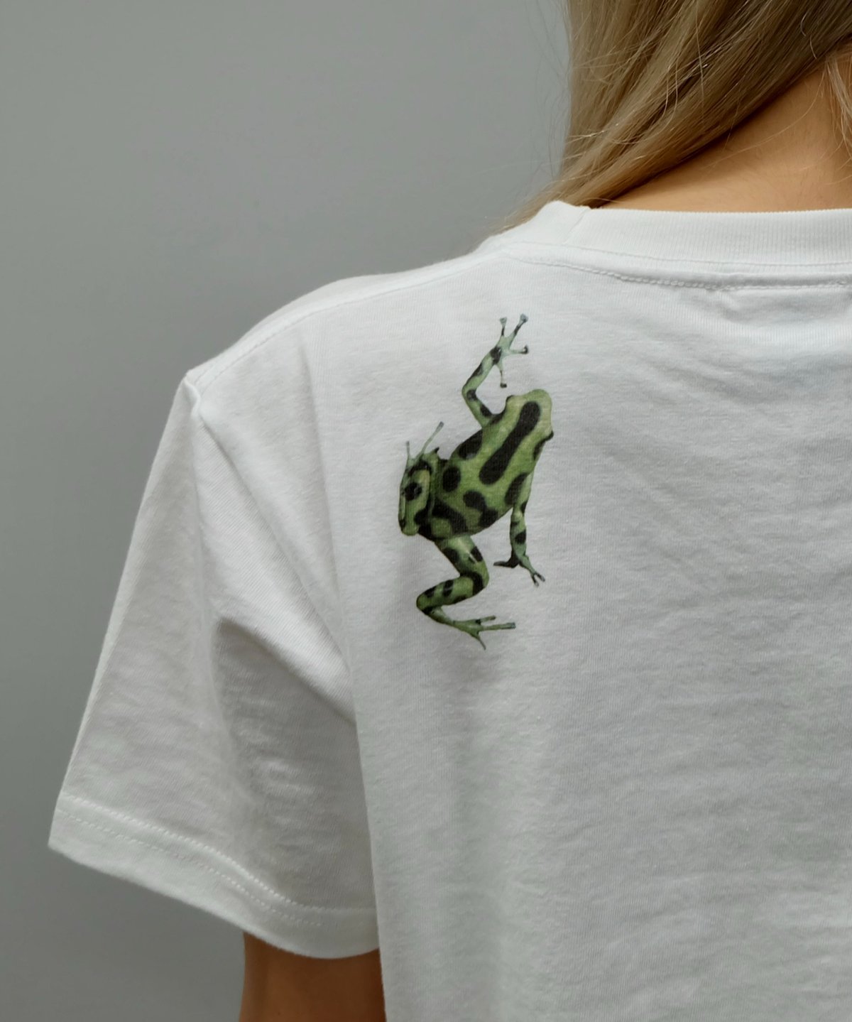 labyrins ホワイト Tシャツ shury groovy frog Labyrins Groovy Frog Tshirt Blue | Shury