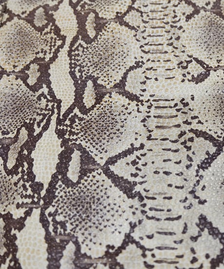Vintage   Python Coat