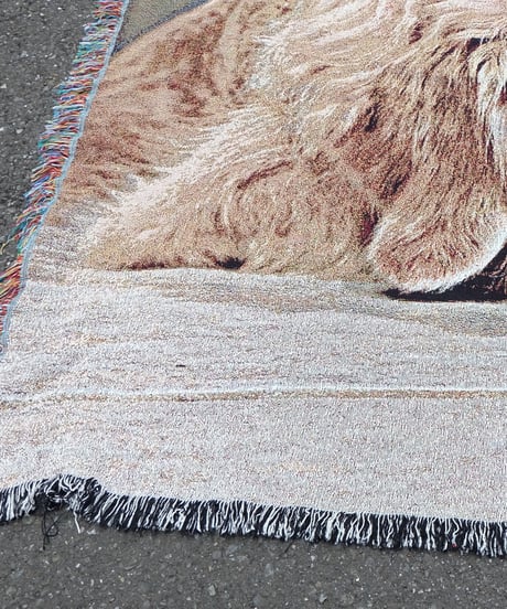 Vintage   Rug