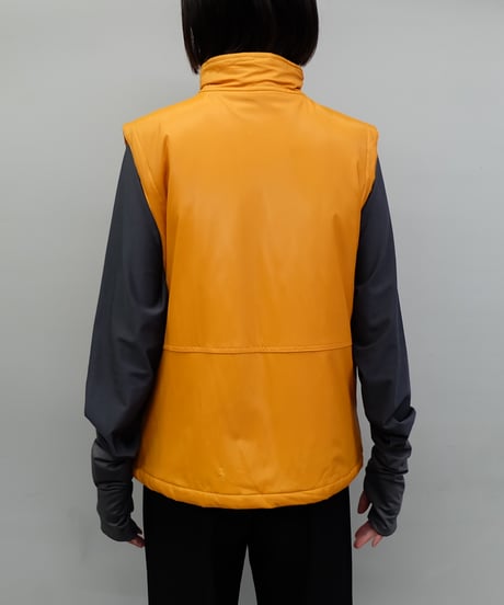 Vintage   Design Vest