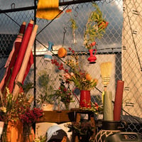 MHT photo vol.7